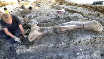 Picture 10 Archaeological Discoveries from Recent Years that Will Leave You Amazed
