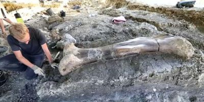 Picture 10 Archaeological Discoveries from Recent Years that Will Leave You Amazed