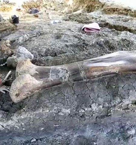 Picture 10 Archaeological Discoveries from Recent Years that Will Leave You Amazed