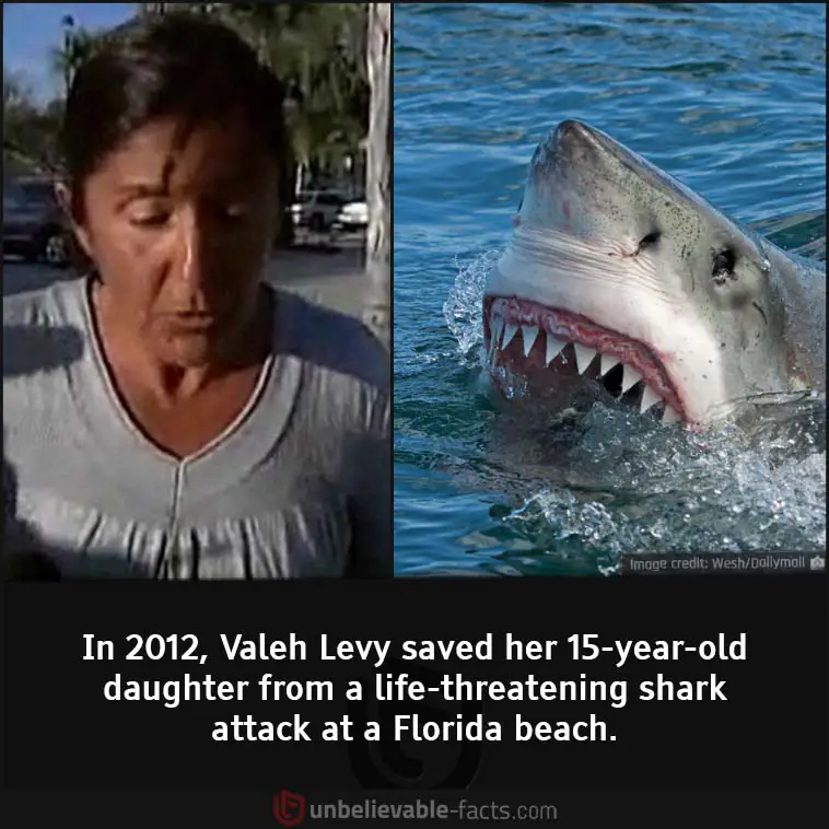 Valeh Levy saved her daughter from shark attack