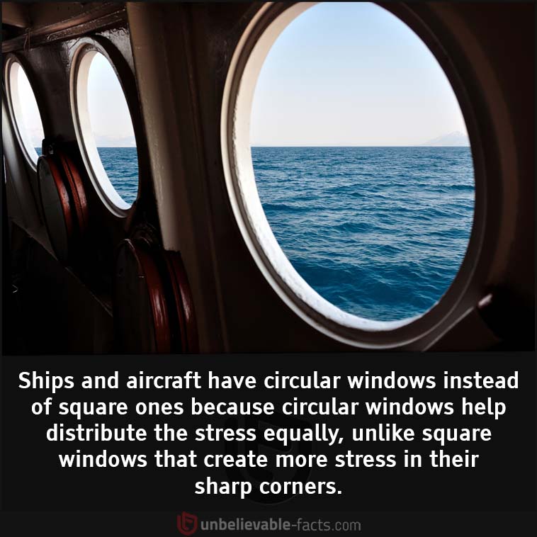 Circular windows.