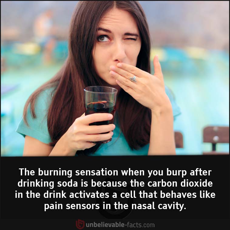 The burning sensation because of drinking soda.