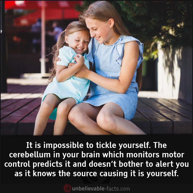 It is impossible to tickle yourself.