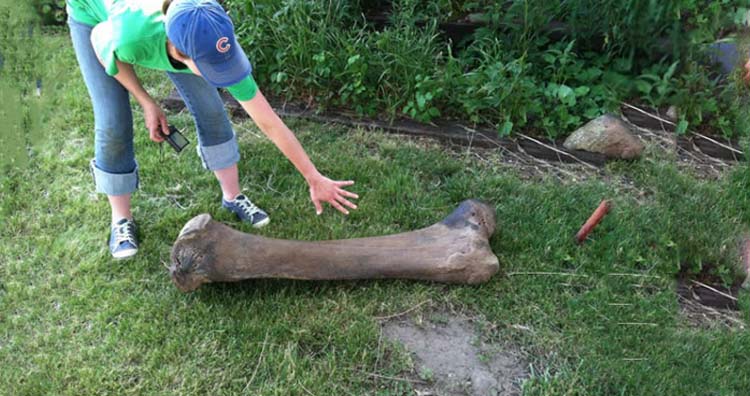 Mammoth discovery in rural Iowa