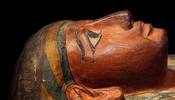 Picture 12 Creepy Facts You Won’t Believe Are True