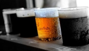 Picture 10 Amazing Facts That Will Completely Change Your Perspective