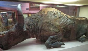 Picture 10 Astounding Archaeological Discoveries that Were Purely Accidental