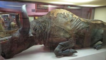 Picture 10 Astounding Archaeological Discoveries that Were Purely Accidental