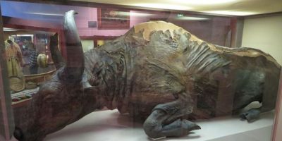 Picture 10 Astounding Archaeological Discoveries that Were Purely Accidental