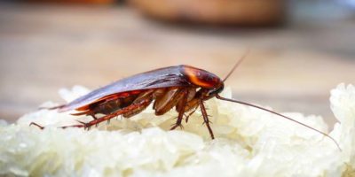 Picture 10 Facts that You Will Absolutely Regret Knowing