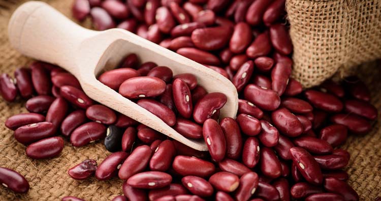 Raw Kidney Beans 