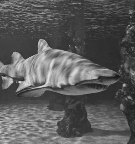 Picture 10 Most Mind-Boggling Missing Person Cases that Were Later Solved