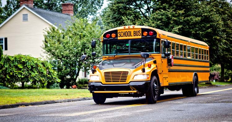 School buses are always yellow