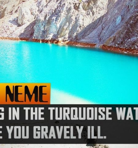 Picture 10 Most Dangerous Waters You Will Never Want To Swim In
