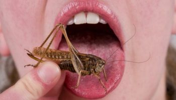 Picture 10 Creepy Facts You Won’t Believe Are True