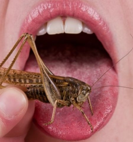 Picture 10 Creepy Facts You Won’t Believe Are True