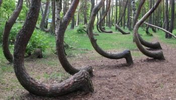 Picture 10 of the Strangest Unexplained Things from Around the World