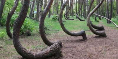 Picture 10 of the Strangest Unexplained Things from Around the World