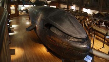 Picture 10 of the Most Interesting Archaeological Artifacts From History