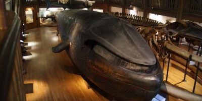 Picture 10 of the Most Interesting Archaeological Artifacts From History