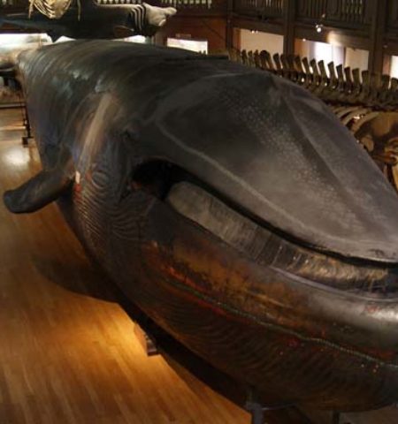 Picture 10 of the Most Interesting Archaeological Artifacts From History