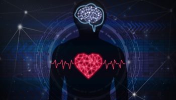 Picture 14 Fascinating Facts About the Human Body