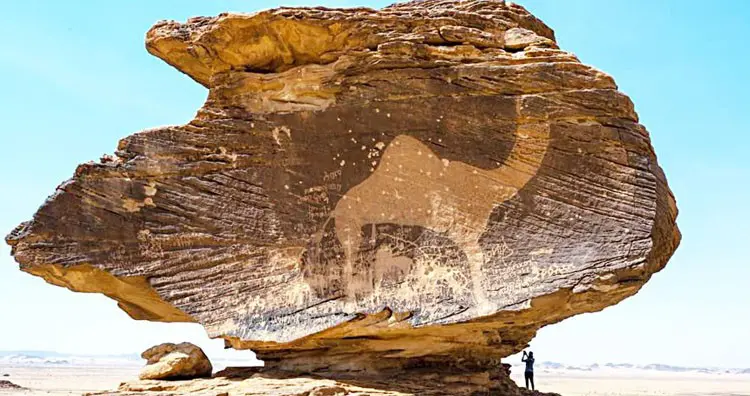 A camel petroglyph at the Bir Hima