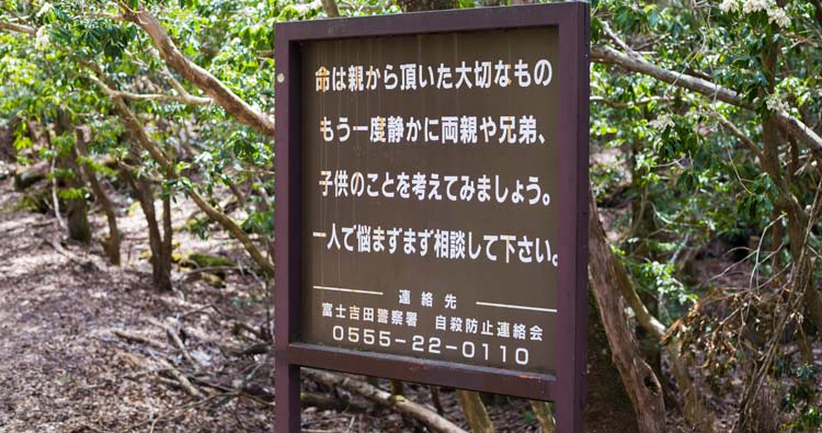 Suicide forest Japan