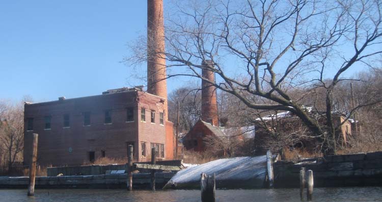 North Brother Island Old Plant