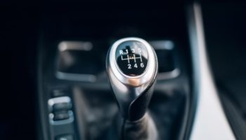 Picture 10 Things that Are Slowly Dying Off or Disappearing