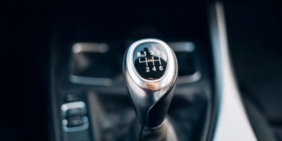 Picture 10 Things that Are Slowly Dying Off or Disappearing