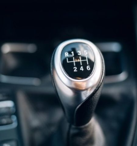 Picture 10 Things that Are Slowly Dying Off or Disappearing