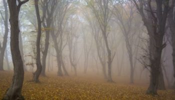 Picture 10 Reportedly Haunted Places From Around the World