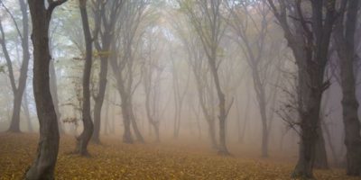 Picture 10 Reportedly Haunted Places From Around the World