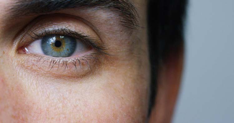 ocular immune system
