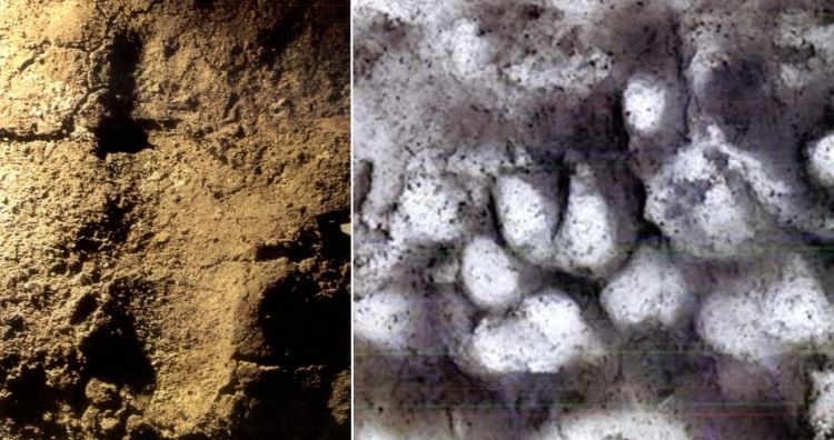 Footprints in caves