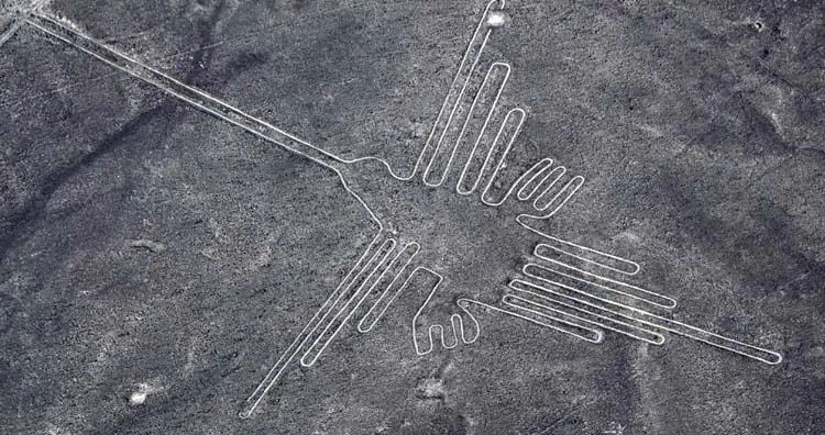 Nazca Lines - Humming Bird
