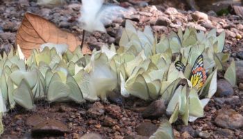 Picture 12 Interesting Facts Everyone Should Know