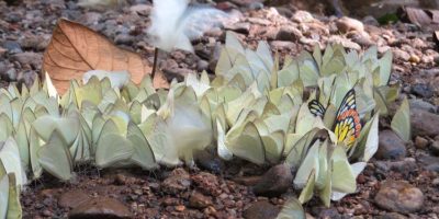 Picture 12 Interesting Facts Everyone Should Know