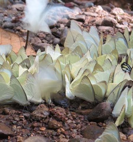 Picture 12 Interesting Facts Everyone Should Know