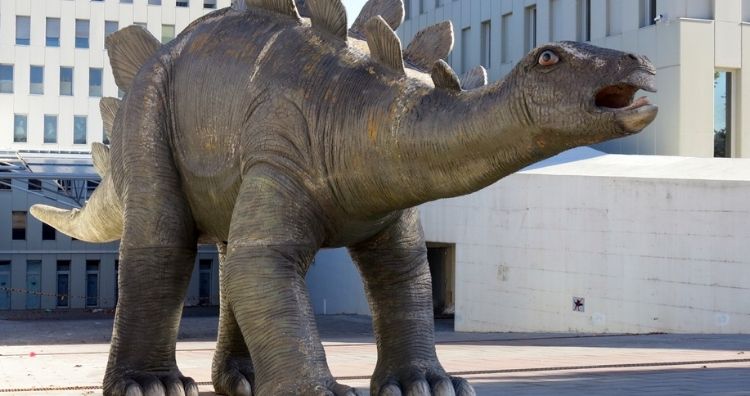 Stegosaurus sculpture 