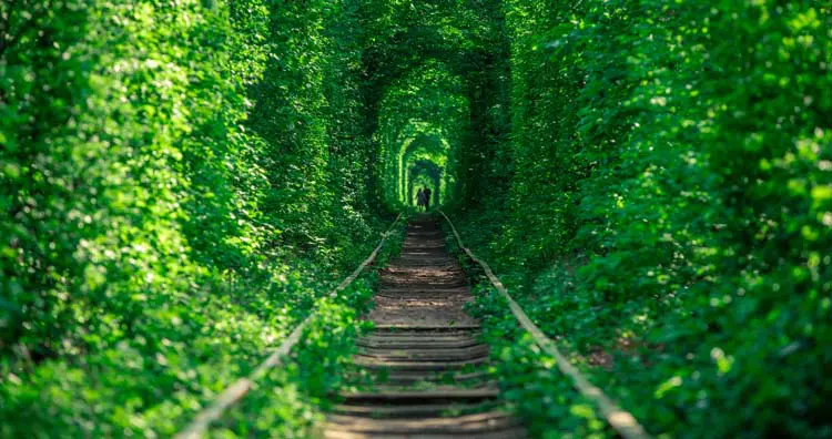 Tunnel Of Love