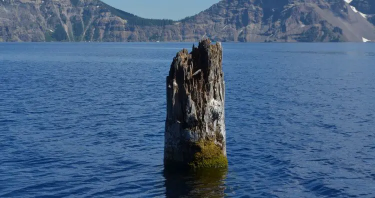 The Old Man of the Lake 