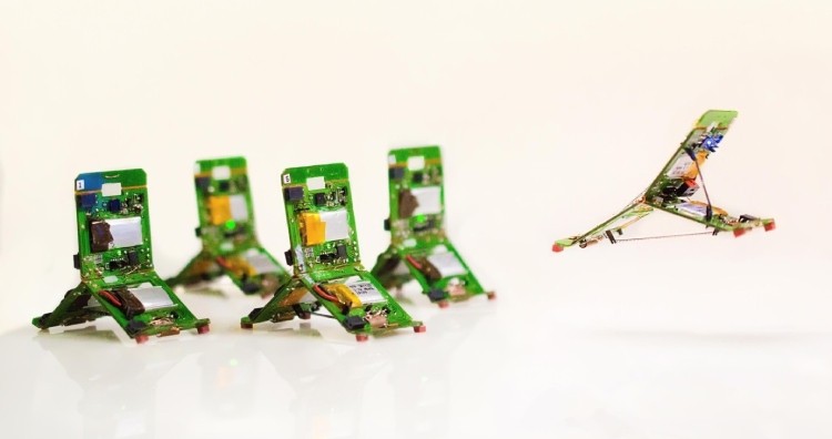 Tribots, aka Robot Ants