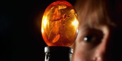 Picture 20 Lesser-known Facts About the Jurassic Park Movies