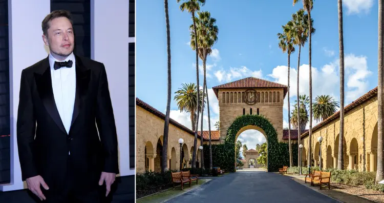 Elon Musk attended Stanford University