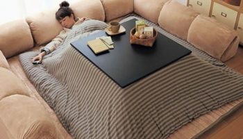 Picture 30 Unusual Things that Exist in Japan