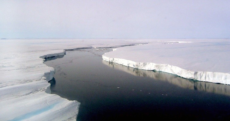  Larsen C Ice Shelf