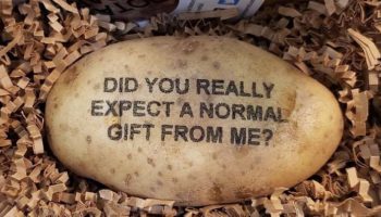 Picture 10 Strange Internet Phenomena From Around the World