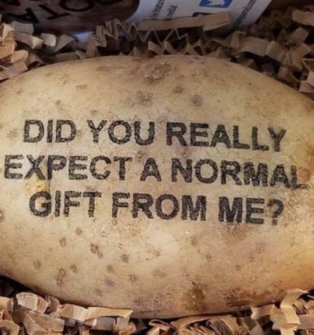 Picture 10 Strange Internet Phenomena From Around the World